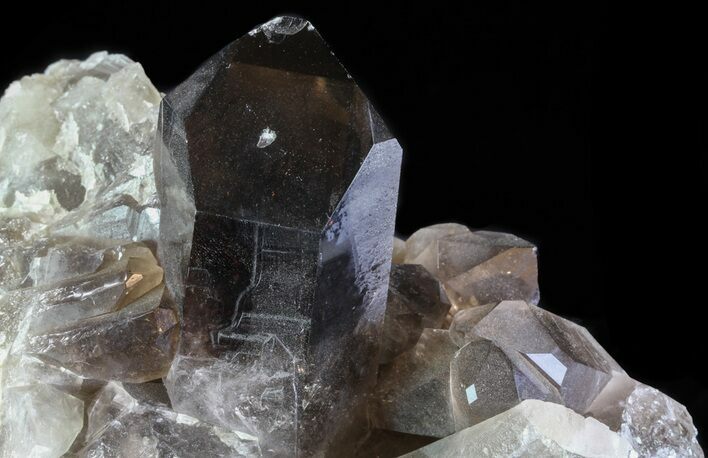 Smoky Quartz Cluster - Brazil #60766